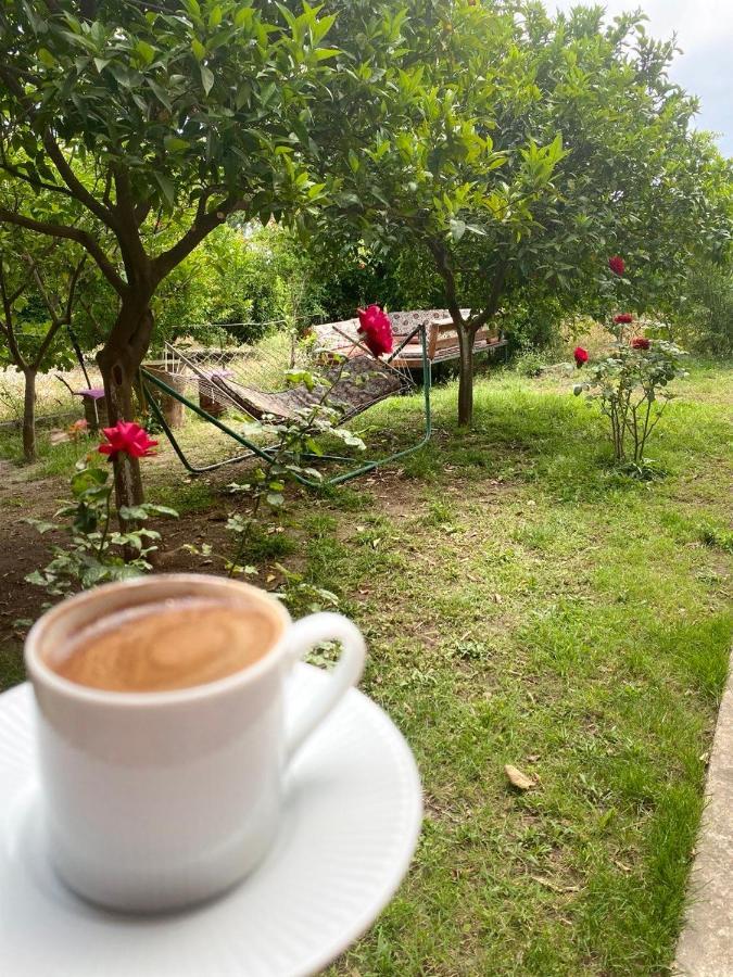 Cirali Irmak Hotel Dış mekan fotoğraf