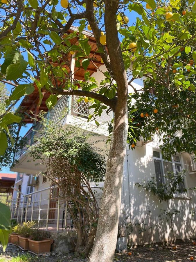 Cirali Irmak Hotel Dış mekan fotoğraf