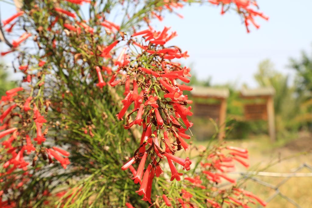 Cirali Irmak Hotel Dış mekan fotoğraf